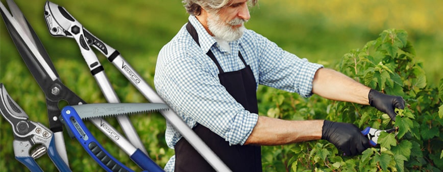 Attrezzi per potatura Vesco: forbici e troncarami professionali e fai da te  > I consigli Irrigarden