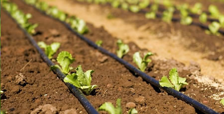 irrigazione agricola bologna