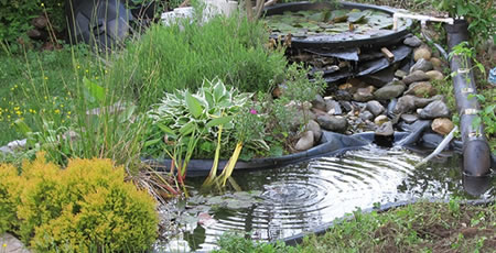 laghetti giardino fai da te bologna