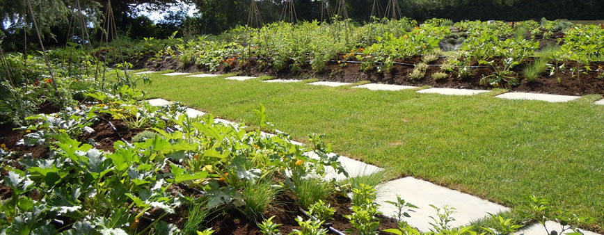 irrigazione goccia orti giardini ala gocciolante leggera