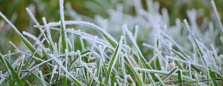 manutenzione impianto irrigazione inverno