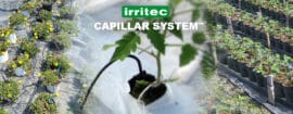 Impianto microirrigazione Capillar System Irritec