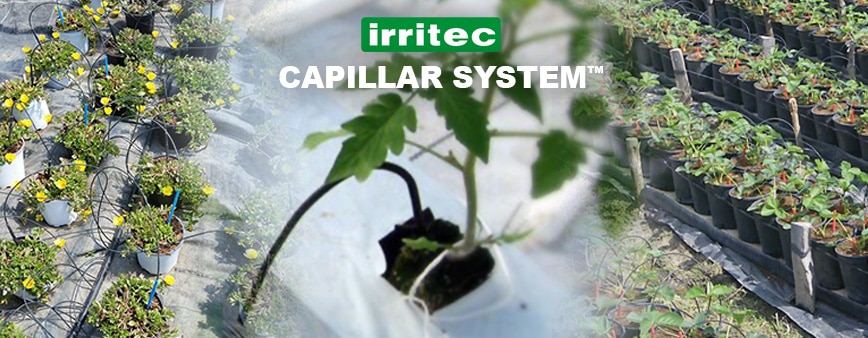 Impianto microirrigazione Capillar System Irritec